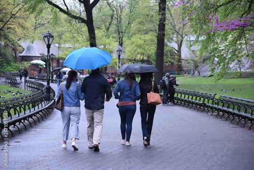 A group of visitors hold umbrellas while walking through Central Park in the rain