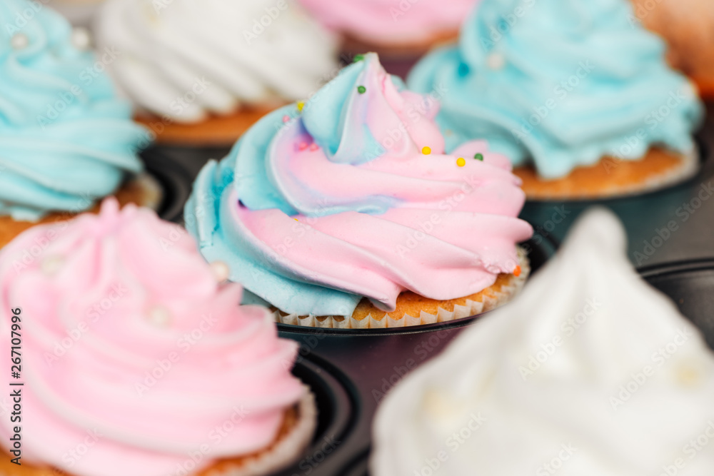 close up of delicious blue and pink cupcakes decorated with sprinkles in cupcake tray close up of delicious blue and pink cupcakes decorated with sprinkles in cupcake tray