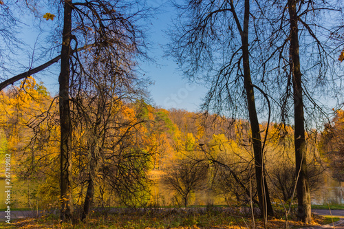 Scenic view to the autumn park, golden autumn