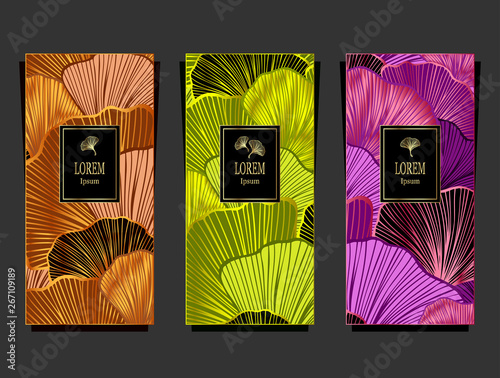 Set Template for package or flyer from Luxury background with  leaves  in orange green magenta for cosmetic or perfume or for package of tea or label or for brand book