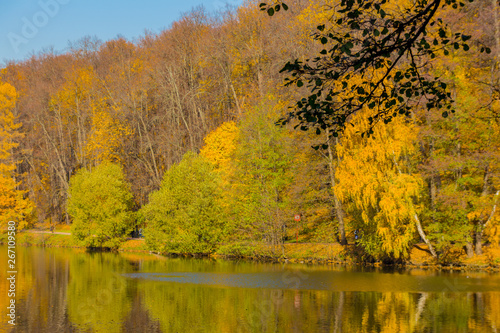 Scenic view to the autumn park and pond