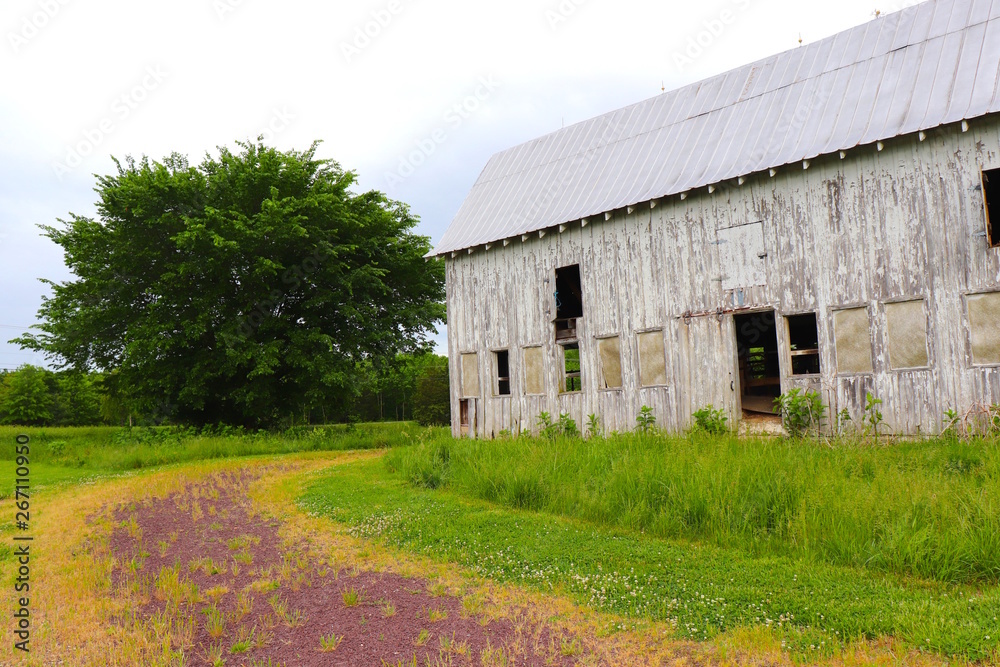 Abandoned Barn in Spring Abandoned Barn in Spring