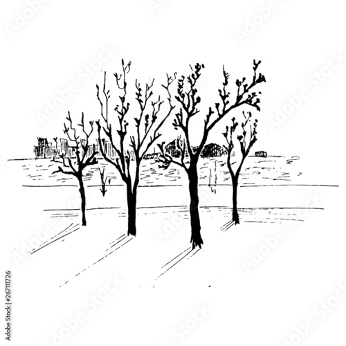 Landscape sketch. Trees in a park near the river. Hand drawn fragment of cityscape. Black vector illustration isolated on white background.	