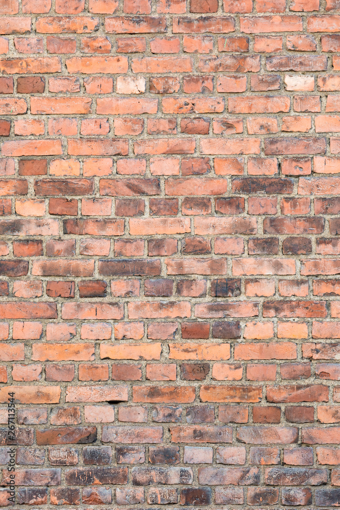 Fototapeta premium Old brick wall texture background