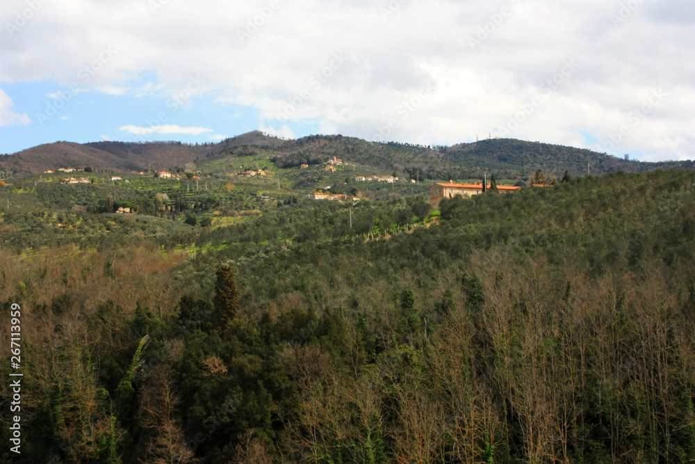 Forest-covered hills in Tuscany