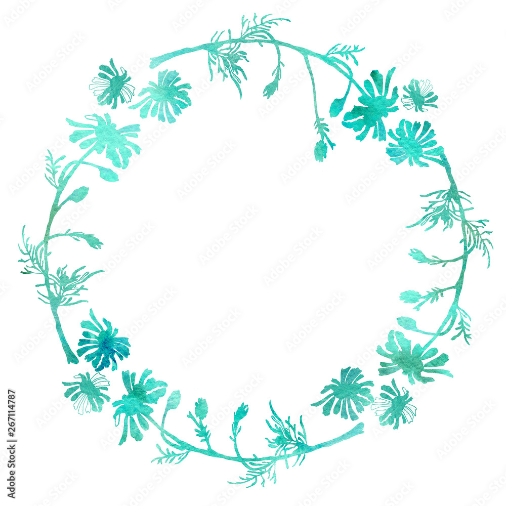Round frame of flowers, chamomile. Watercolor drawing with a contour stroke on a white background, for the design of invitations, cards, greetings, announcements
