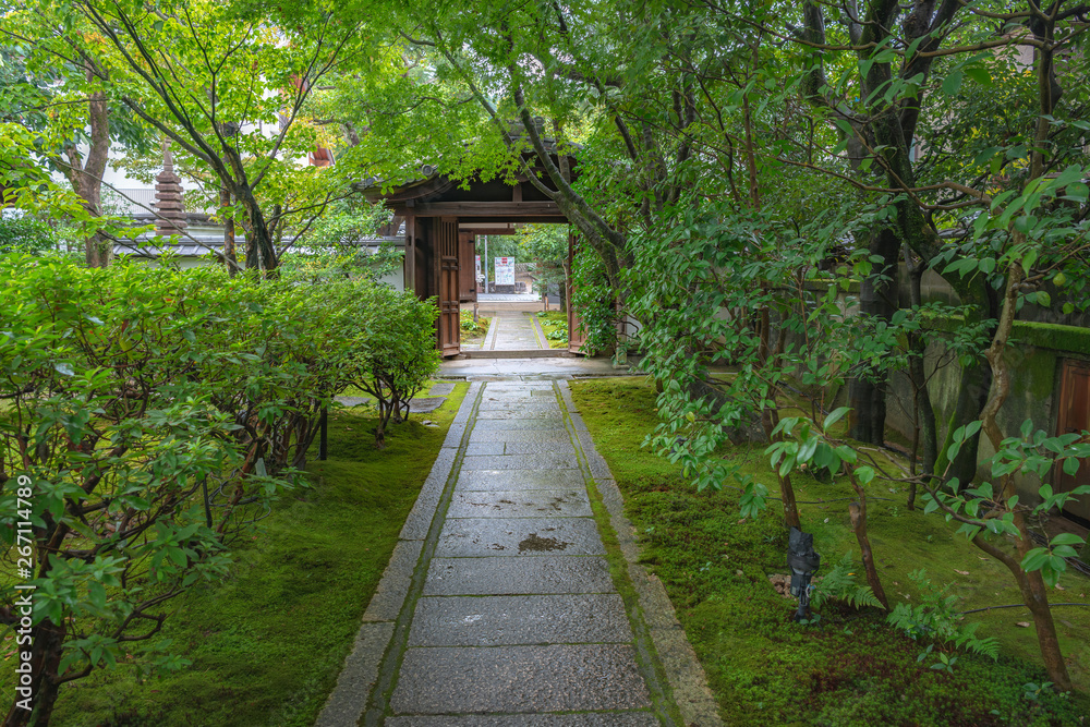 円徳院 雨上がりの参道