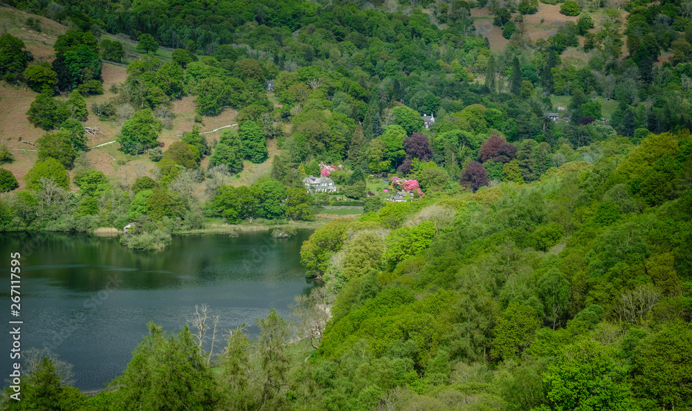 Rydal Water and surrounding Woodland