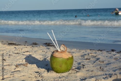 Un coco en la playa