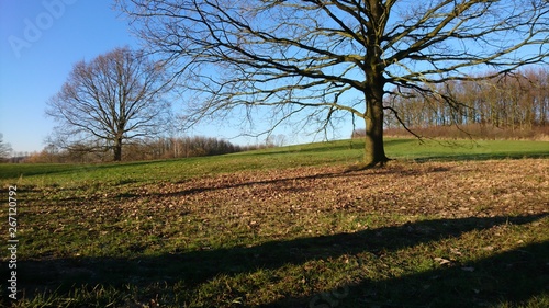 Herbst Park