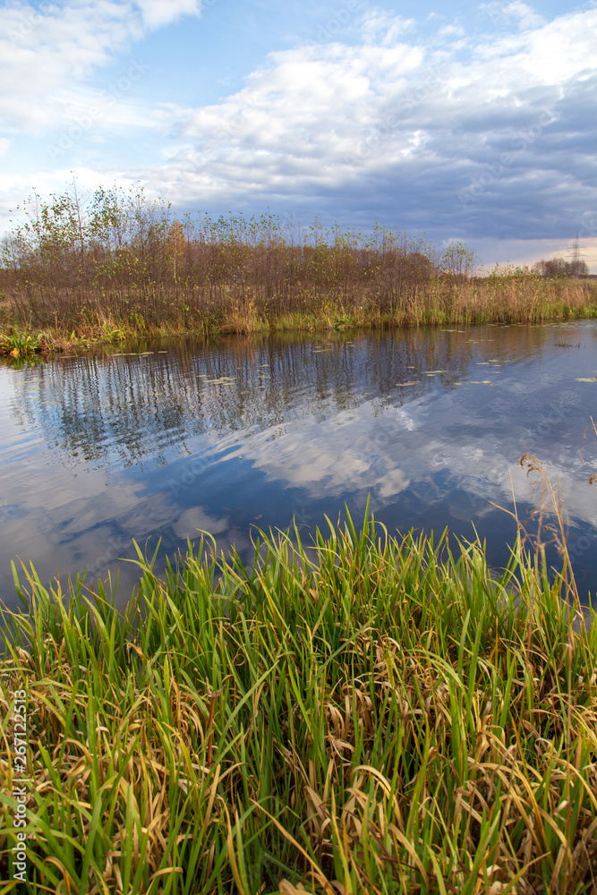 Pond in nature in autumn