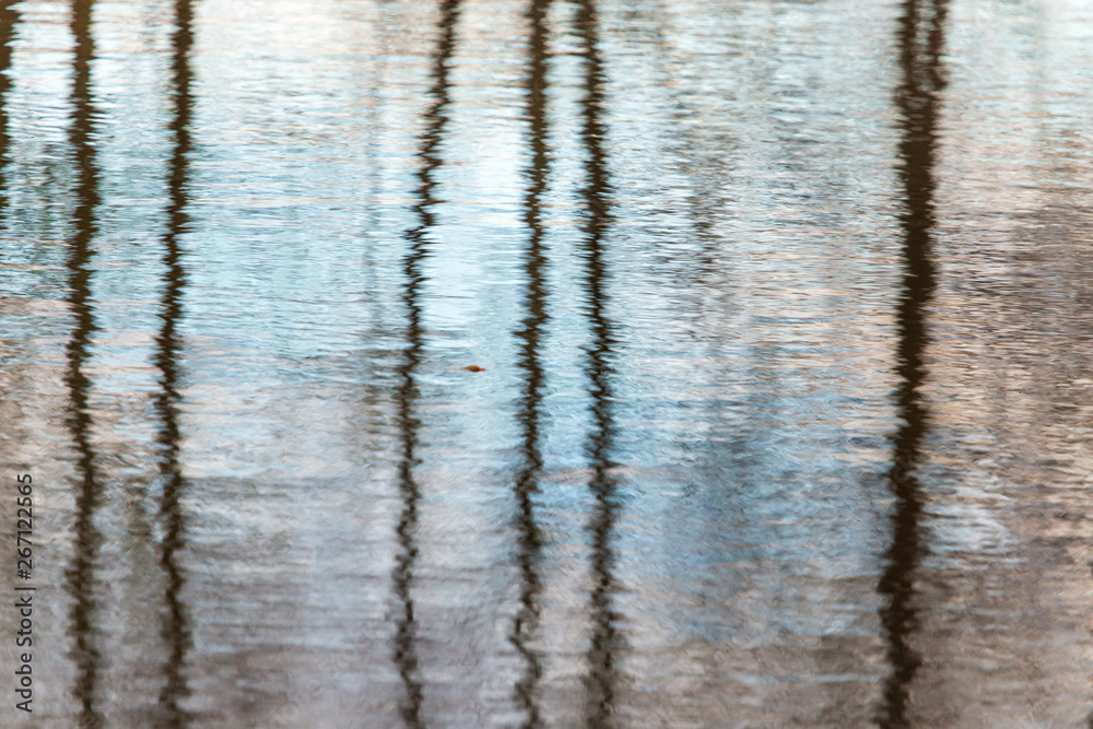 Trees with reflection in a pond in autumn Trees with reflection in a pond in autumn