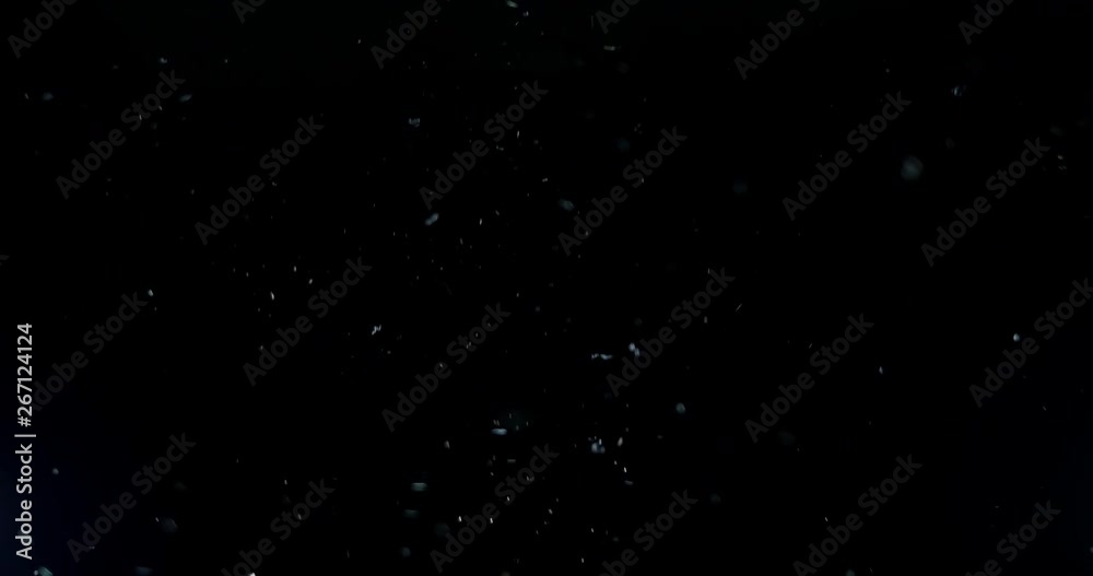 Natural Organic Dust Particles Float On Black Background Natural Organic Dust Particles Float On Black Background