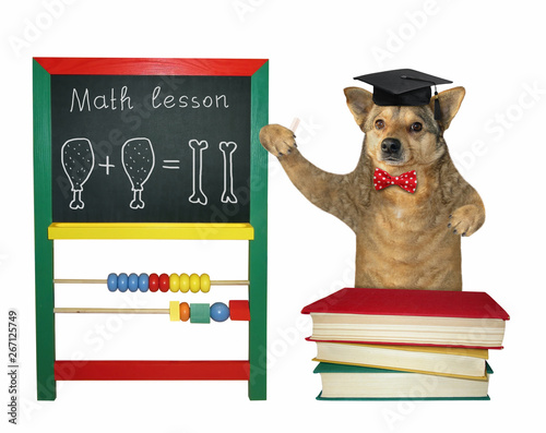 The dog teacher in a square academic cap writes a mathematical equation on the blackboard. White background. Isolated.