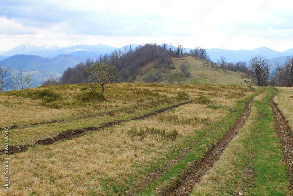 Fototapeta premium A road in the mountains
