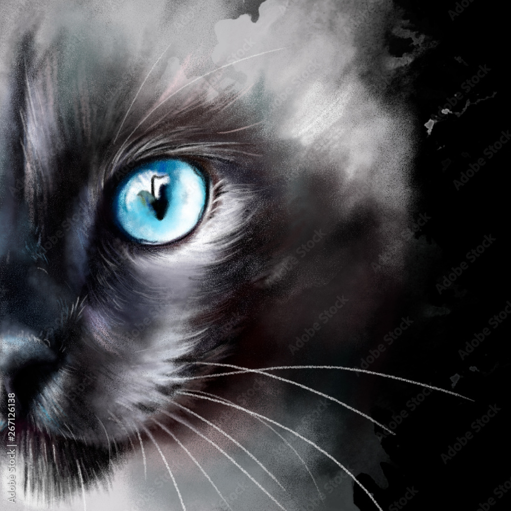 Watercolor portrait of a cat with beautiful blue eyes. Close-up on a black background. With paint spray