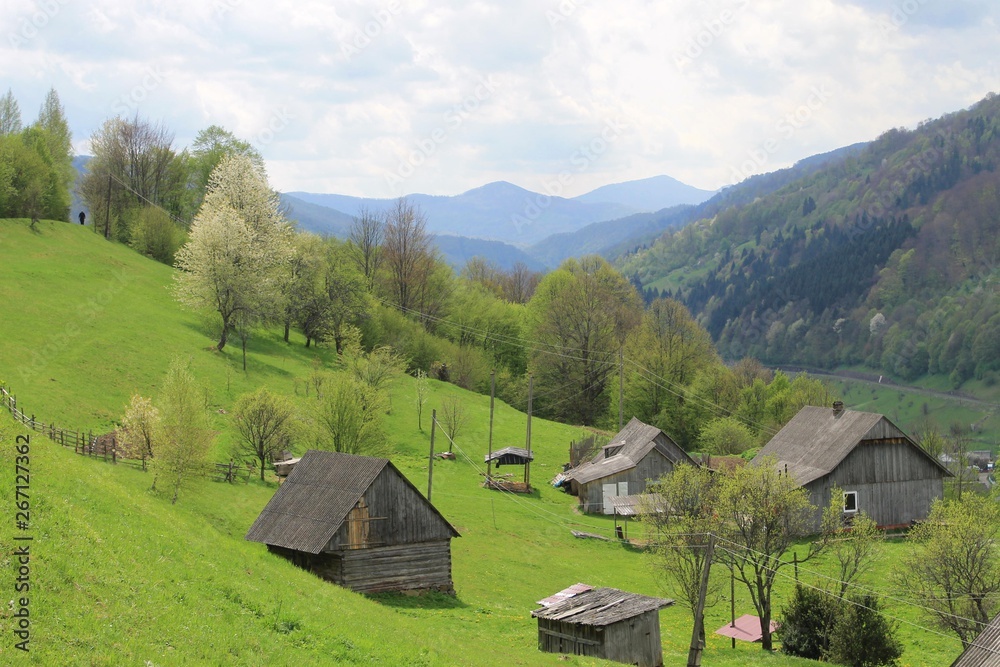 A very green slope with wooden houses in Ukranian Carpathians