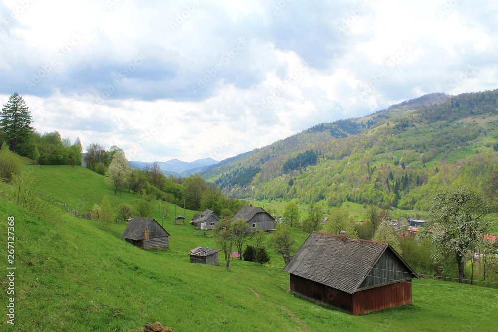 A very green slope with wooden houses in Ukranian Carpathians A very green slope with wooden houses in Ukranian Carpathians
