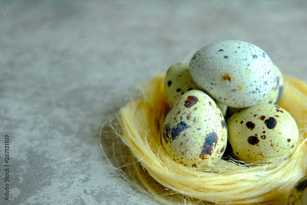 group of quail egg on cement background, quail egg on concreat background