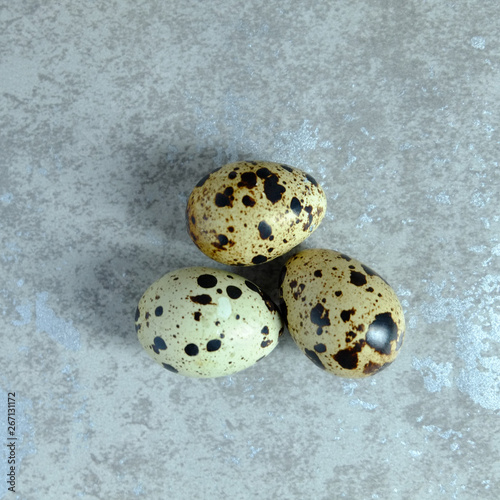 quail egg on cement background, quail egg on concreat background