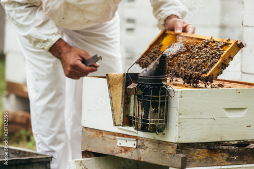 closeup of bee smoker while apiarist working in blurred background