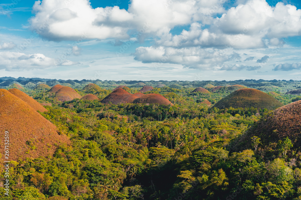 Chocolate Hills in the Bohol island in the Philippines, covered in brown grass. Famous touristic place