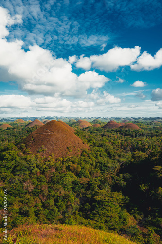Chocolate Hills in the Bohol island in the Philippines, covered in brown grass. Famous touristic place