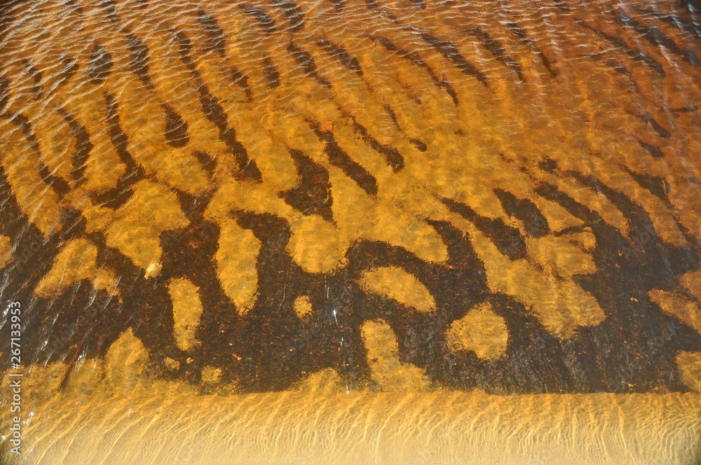 Reflexos de ondas Reflexos de ondas