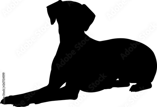 Dalmatian 10 isolated vector silhouette