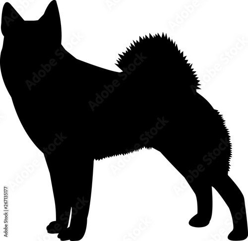 Norwegian Elkhound 9 isolated vector silhouette