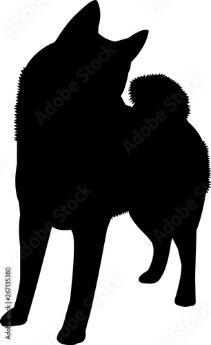 Norwegian Elkhound 5 isolated vector silhouette