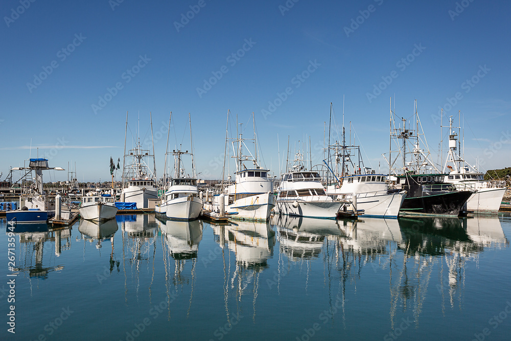 Fishing boats docked at the bay of San Diego early morning with blue sky