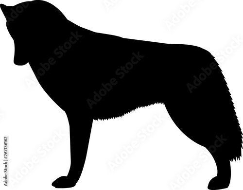 Siberian Husky 2 isolated vector silhouette