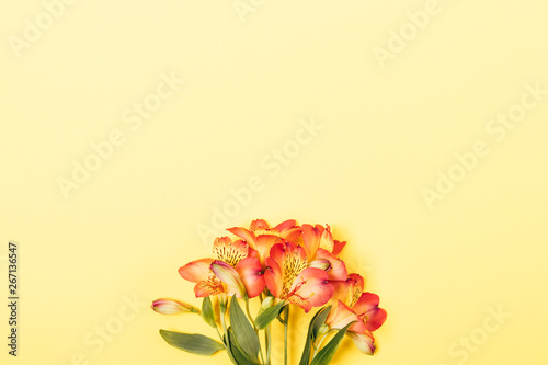 Bouquet of fresh alstroemeria flowers