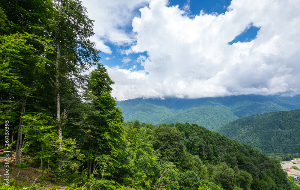 View of Caucasian mountains