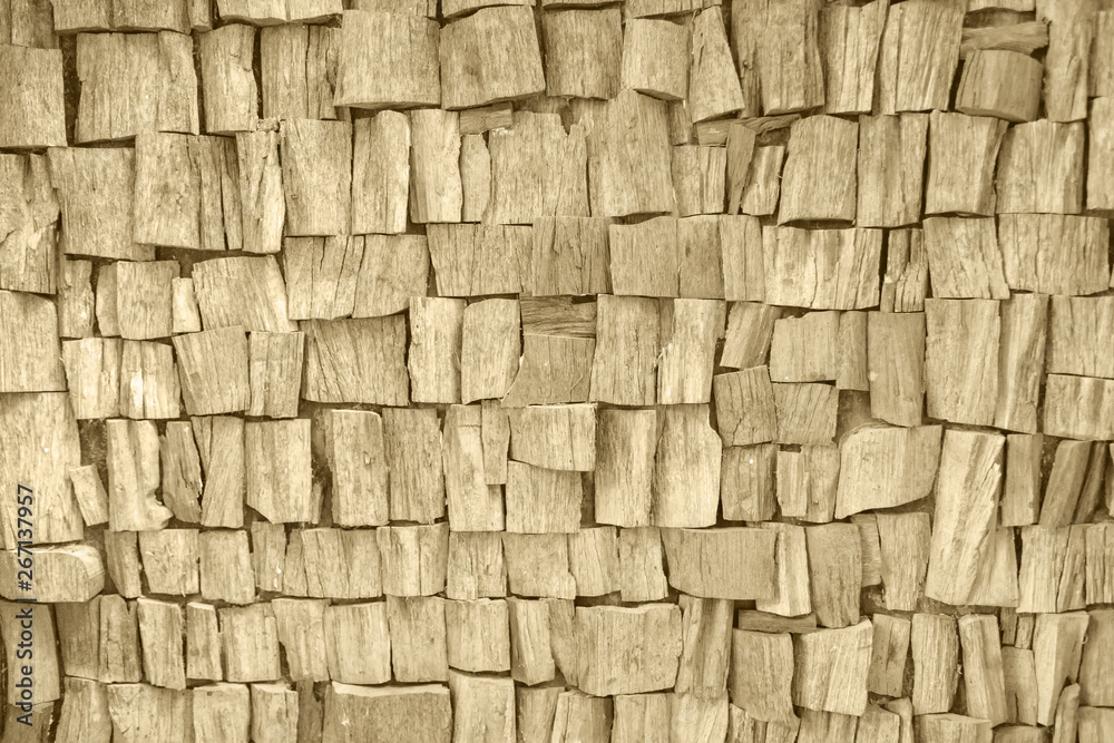 Obraz premium Neutral light brown textured wood pieces ecological background for design, decor and skins