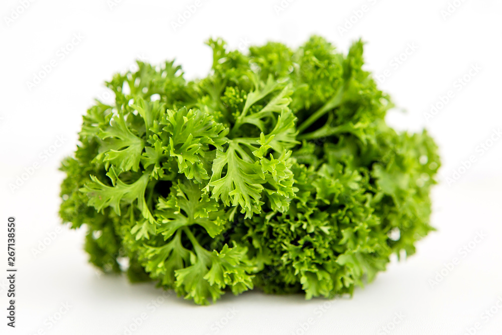 bunch of fresh greens tied with a centimeter ribbon and a notebook. the concept of proper healthy nutrition. weight control, diet bunch of fresh greens tied with a centimeter ribbon and a notebook. the concept of proper healthy nutrition. weight control, diet