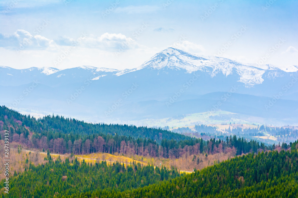 Panoramic view of the blue snow-capped mountain peaks and multicolored layers of yellow valley, green forest and orange plains. Light haze descends into the valley