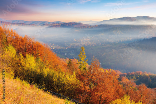 foggy autumn scenery in mountains at sunrise. red and yellow foliage on the trees. hazy weather in the valley