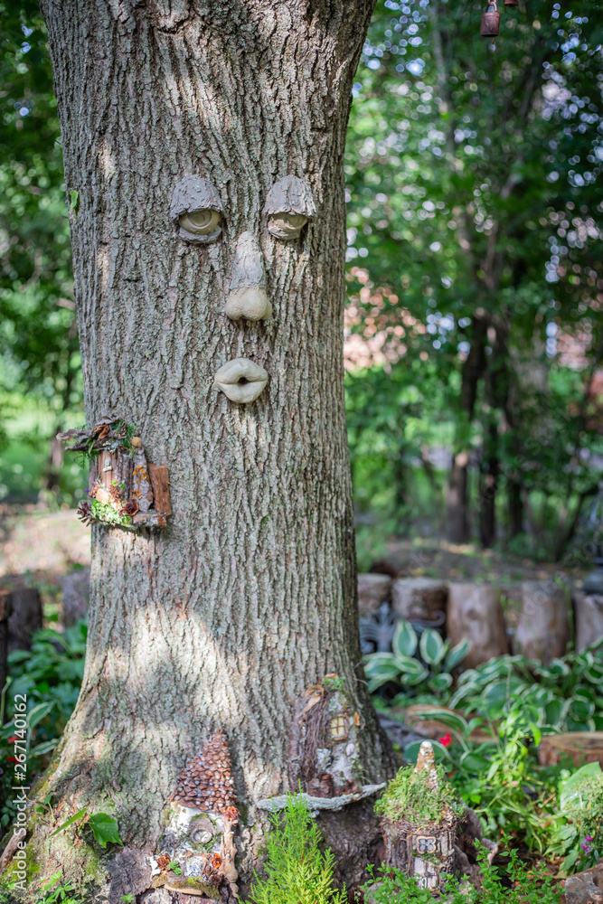 Fototapeta premium face . in the tree