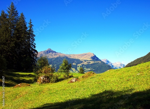 Berge im Berner Oberland
