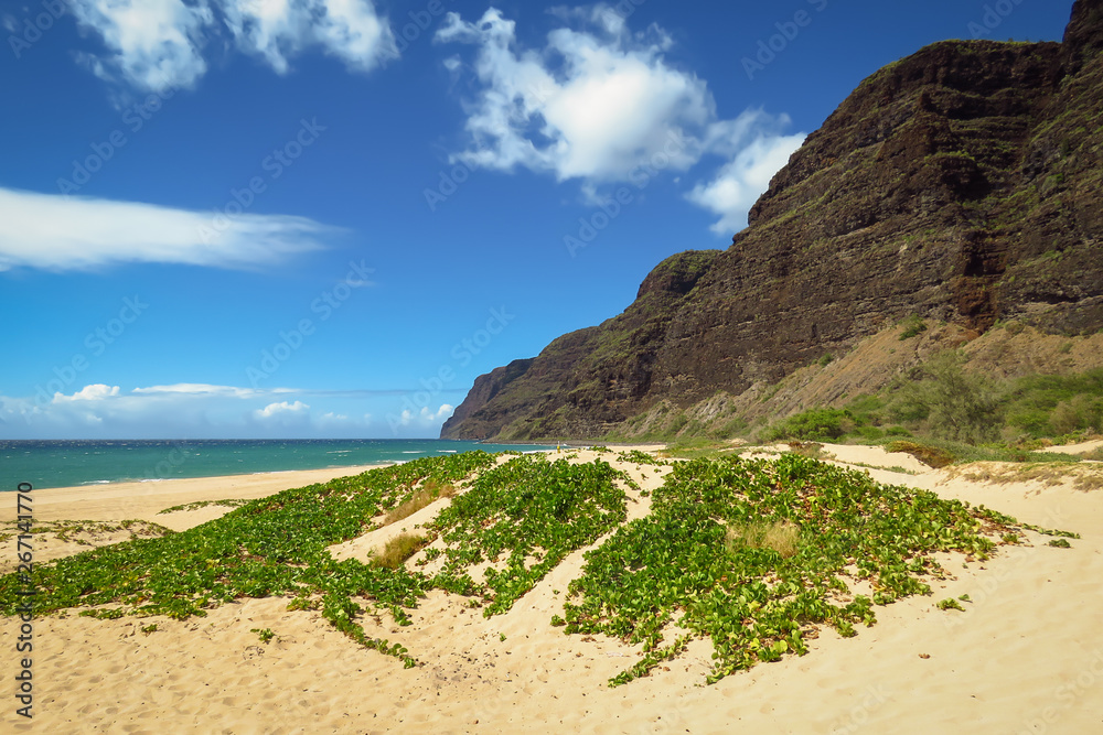 The remote beach of Polihale State Park, Kauai, Hawaii, USA