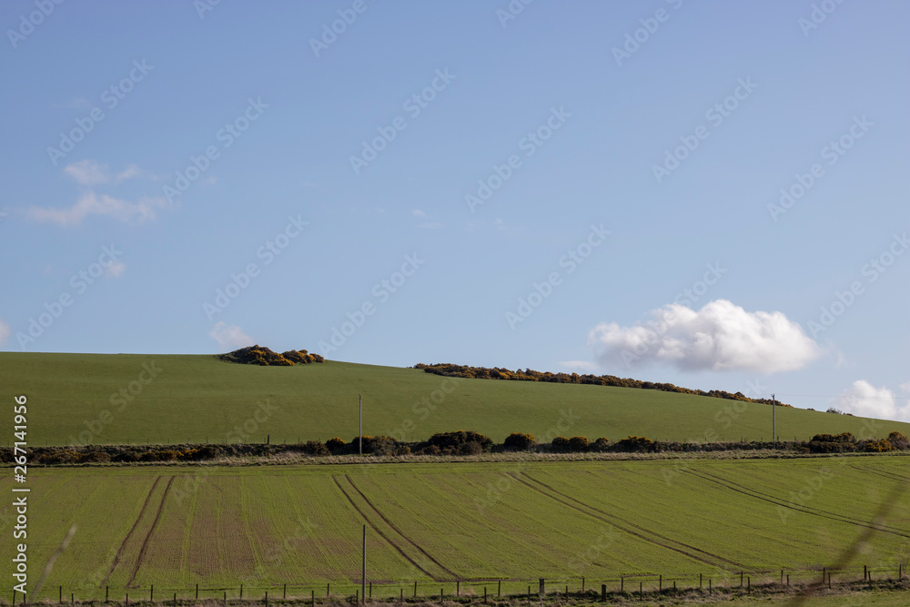 Rural Fields in front of Blue Sky