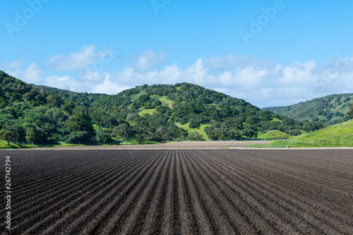 Rows of freshly plowed rich black bare earth in perspective to beautiful green oak-covered hills in Salinas Valley  CA  USA