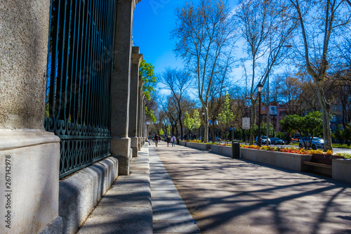 Paseo del Prado, Madrid, Spain photo