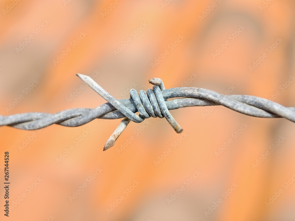 Barbed wire at a knotted and twisted