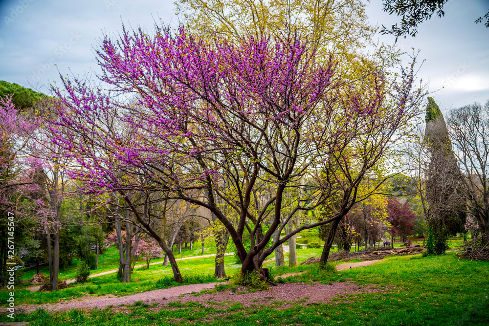 Villa Borghese Gardens in Rome