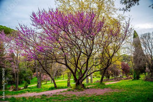 Villa Borghese Gardens in Rome