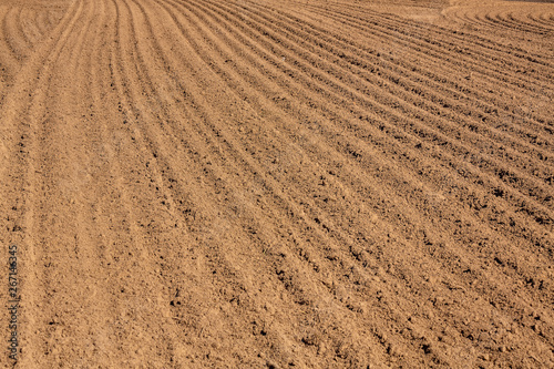 brown ground plowed field, harrow lines. Arable background. Pattern of curved ridges and furrows in a humic sandy field. A freshly ploughed field showing a geometric pattern of shadows in the furrows