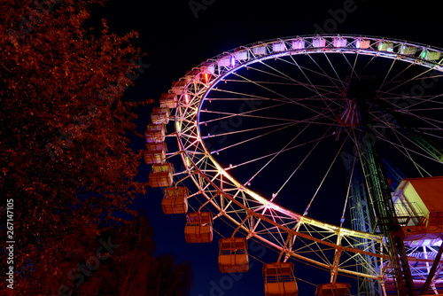 Ferris wheel with multicolor lighting and trees at night.